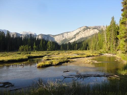 Sunrise on River Cline near Pinto Lake, Alberta