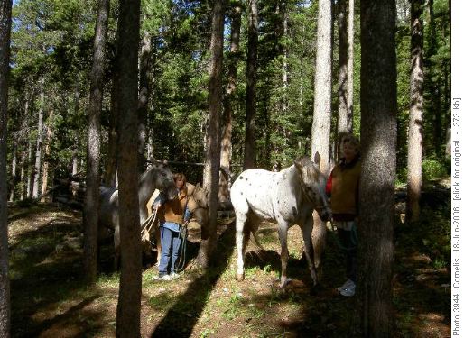 Horse Ladies at James Lake Camp, Appaloosa Horses.
