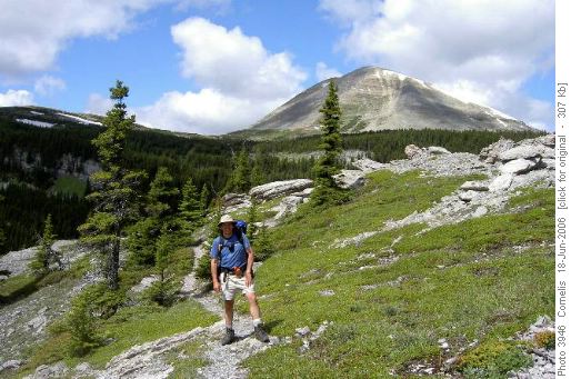 Cornelis in the Karst Area, East of Mt Bolton (2,691m) in the background