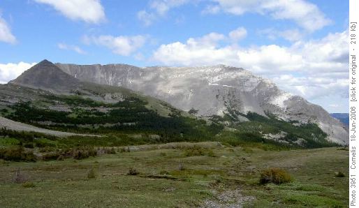 Mount Armstrong's West-face (2,840m) East from Fording River Pass (Thrust-Fault)