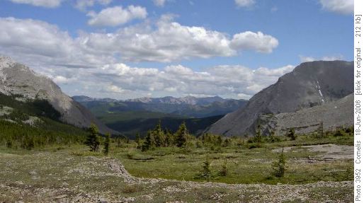 Raspbery & Hells Ridges & Mt Burke (2,450m) seen from Fording River Karst Area. Framed by Mt Armstrong & Baril Pk (Looking E, N to S)