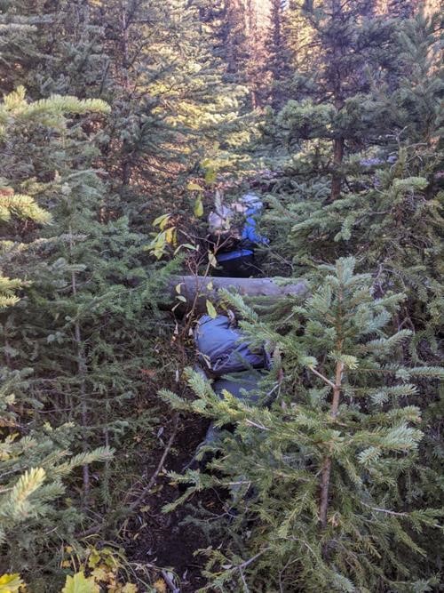 Over and under deadfall