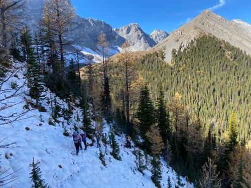 Returning through the snow; Mt Nomad behind