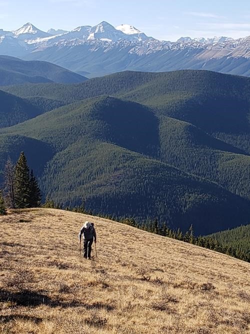John climbing up the ridge leading to the West Peak of Moose Mountain from Canyon Creek, with Banded, Outlaw, Cornwall, and Glasgow in the background.