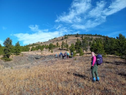The open west slopes of Volcano ridge