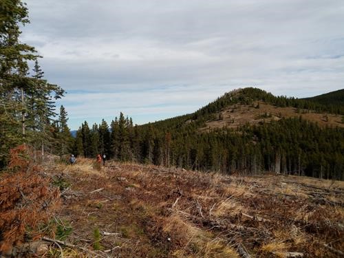 Skirting the clearcut on a trail as we head to the pointy peak