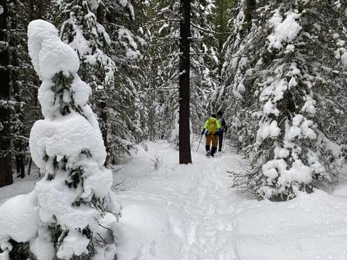 Pretty snow on the way to Jewell
