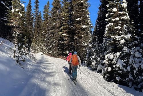 The start of the Lookout trail
