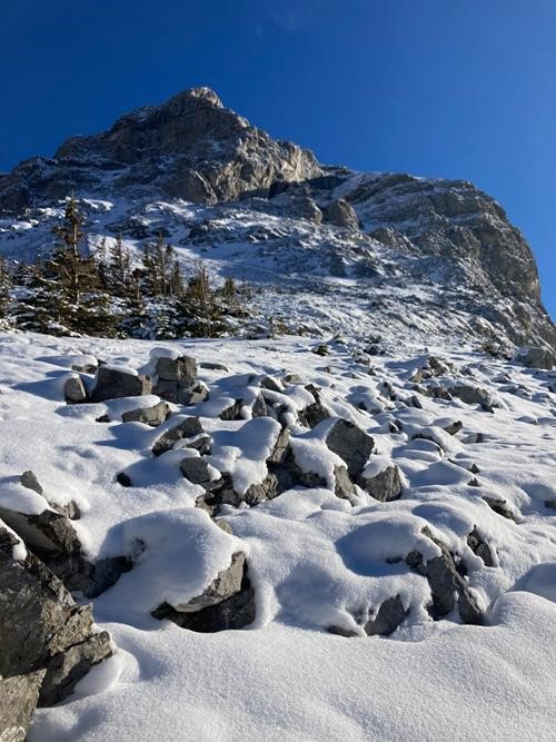Looking up at our objective