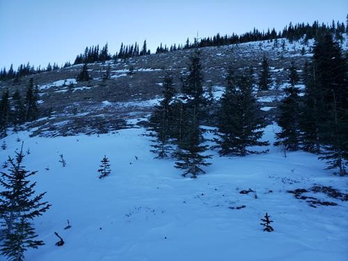 Cox Hill final slope below ridge crest - minimal snow cover on exposed slope
