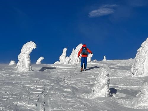 Snow ghosts top of Table Mtn