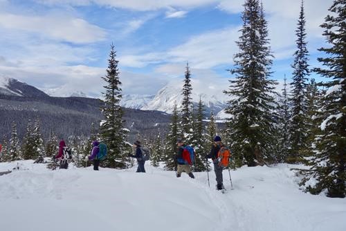 Group descending near viewpoint