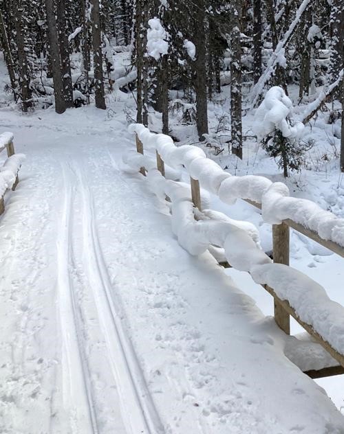 Rocky Mountain Ramblers trip report for Kananaskis Lakes Ski Trails