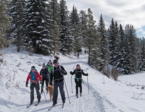 Roller packed soft new snow on Moose Loop.