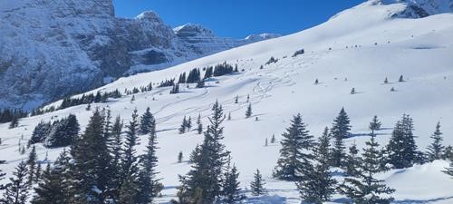 Tracks on Hilda Ridge south slopes