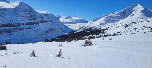 Saskatchewan Glacier from Parker Ridge 