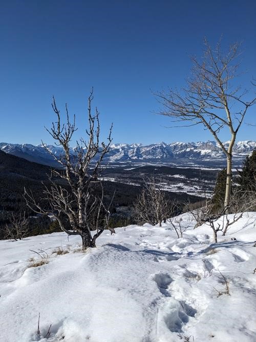 Lunch view from top of Eagle Hill