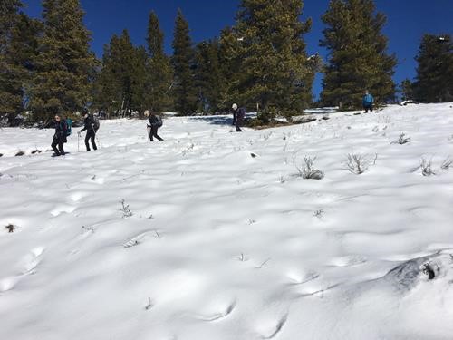 Breaking trail on the way down 