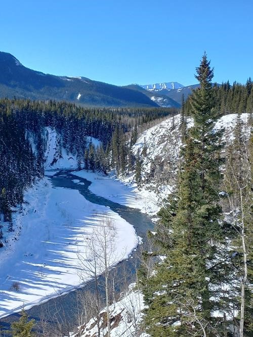Elbow river from Riverview trail