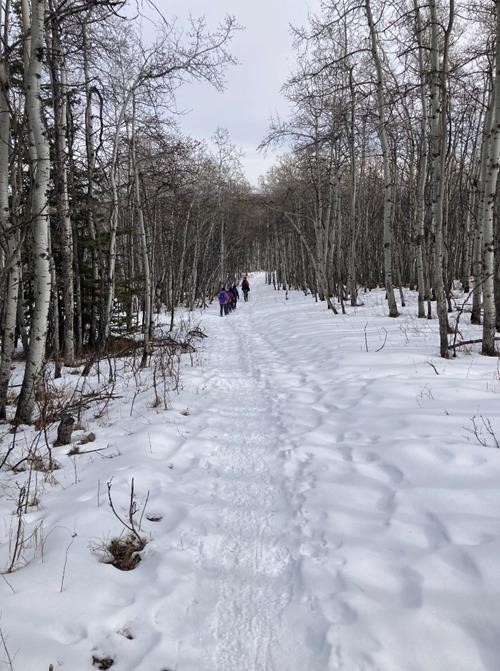 On the way back. Finally just packed snow.