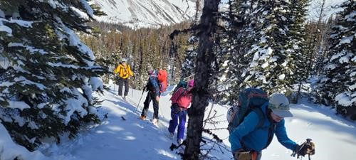 Trail to Burstall Pass