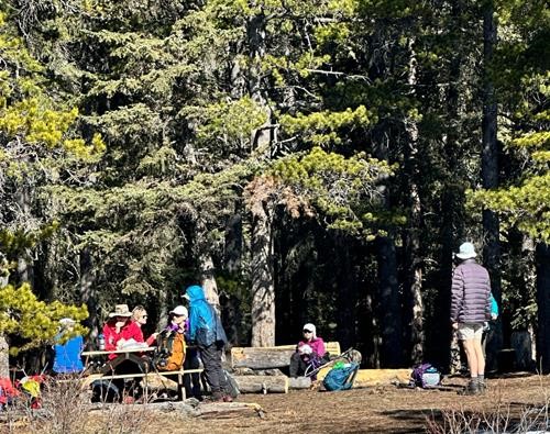 Picnic table and fire ring on Mesa Butte summit 