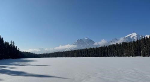 Glorious Day at Mud Lake