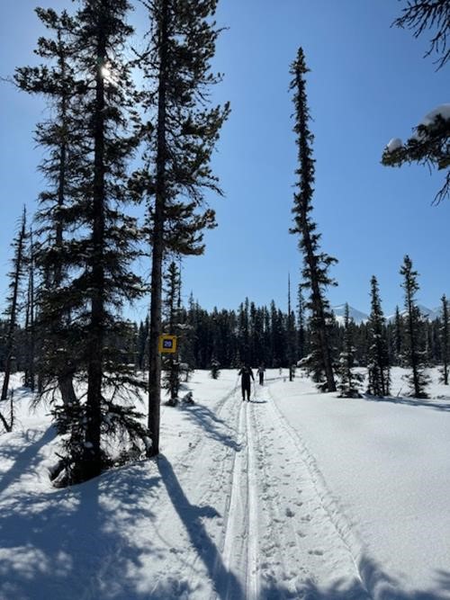 On the trail