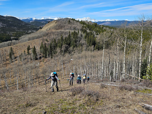 Dry climb up a Sandy McNabb Hill