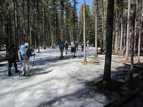 Slush-o-rama on the Sandy McNabb ski trail