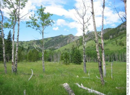 Fir Creek valley