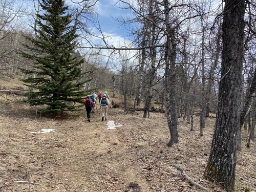 Good walking and conversation 