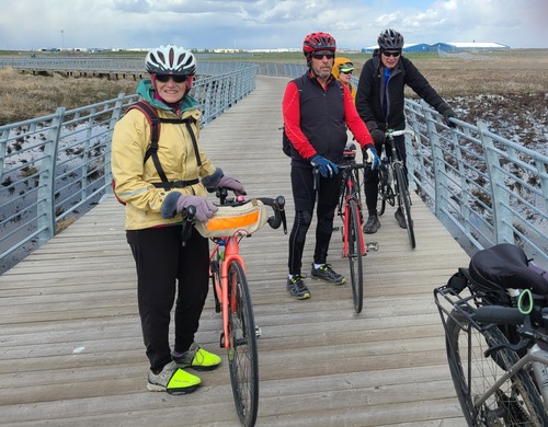 New Brighton Bird Sanctuary