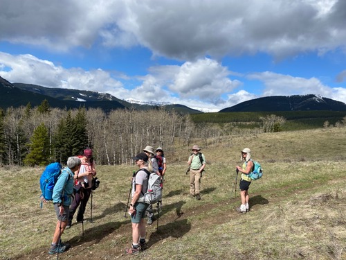 Where the horses were