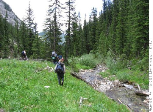 Upper King Creek, before the willows