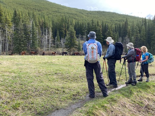 The horses weren't nervous 