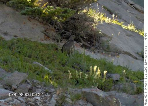 Opal Ridge Hike