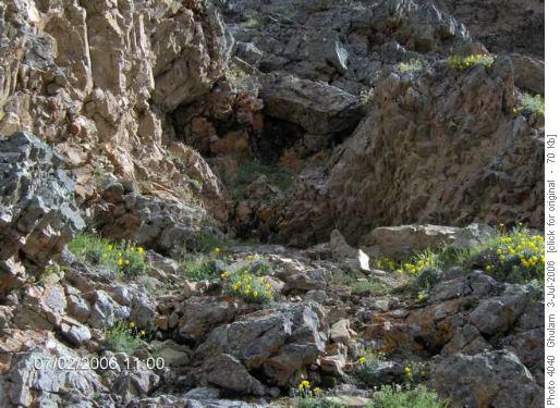 Opal Ridge Hike