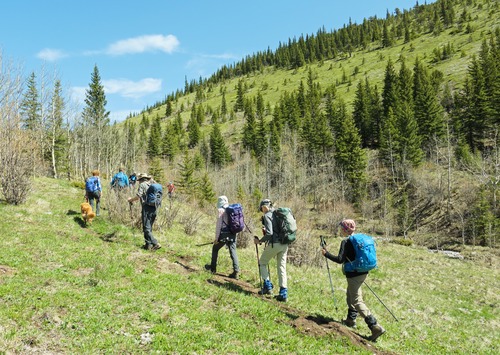 A good trail leads up Gunnery Creek, with the aspens still not showing much greenery. 
