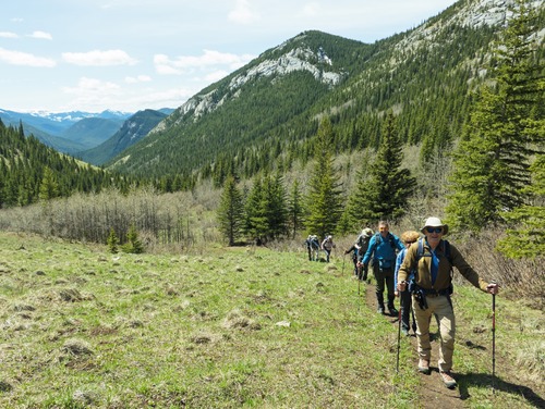 Almost at Gunnery Pass, where a faint trail in grass just before the pass veers right to gain the "ridge between Gunnery and Grass passes"