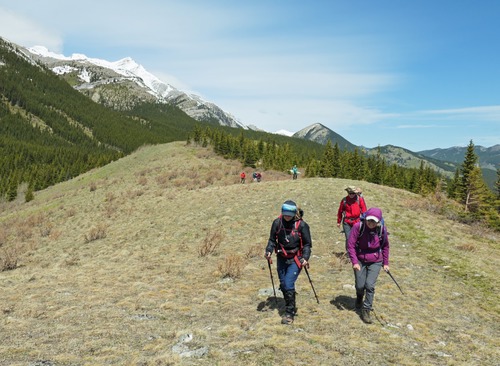 Battened down against a strong wind and headed south along the ridge