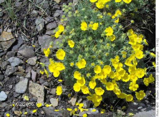 Opal Ridge Hike