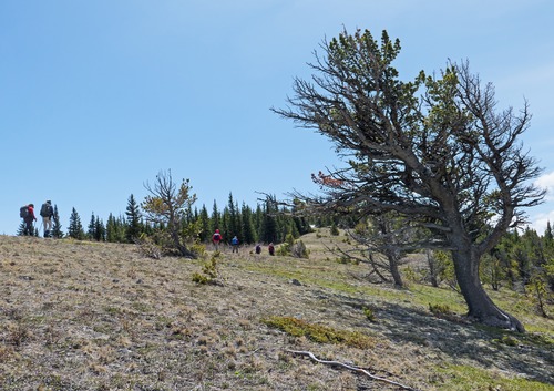  Ramblers weren't the only ones feeling the effects of the winds along the ridge