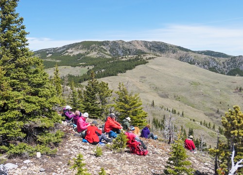 A fine sheltered lunch spot at the end of the first ridge, with a view across to the Bull Creek Hills and the next phase of the loop- down to Grass Pass and across to Fir Creek Point.