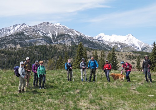 Near the boundary pine at Fir Creek point