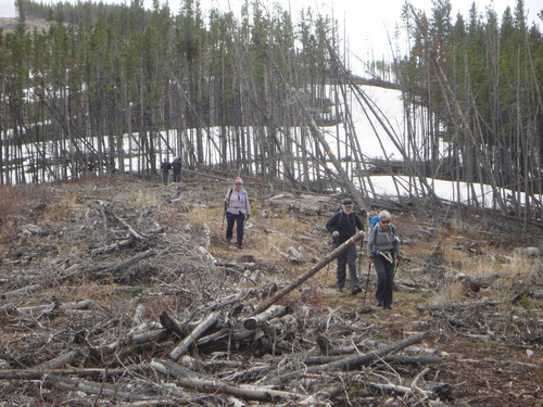 Ramblers descend from Lusk Ridge East