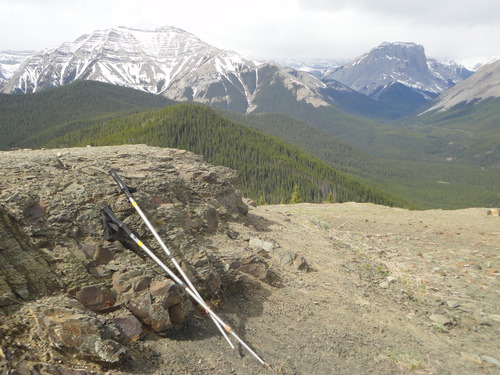 View West from Mt. Hoffman