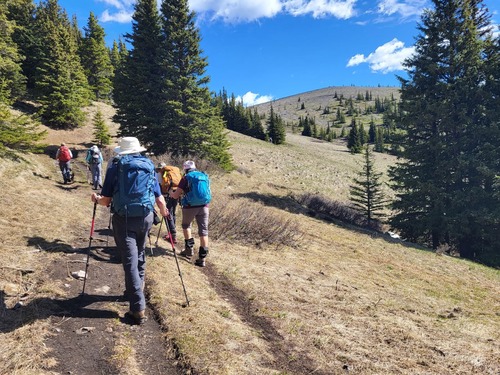 Crocuses and shooting stars were higher up the ridge