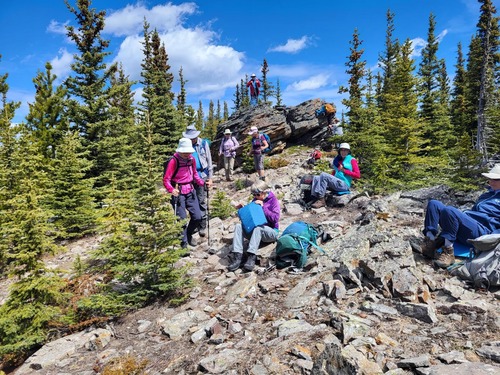 Settling in for lunch