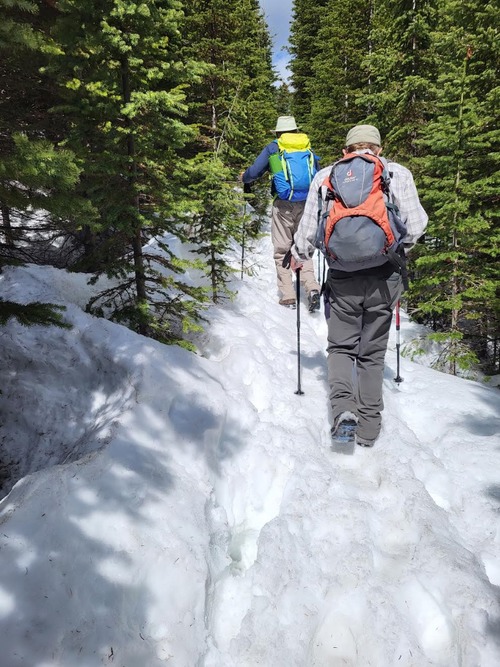 Plenty of snow high up 